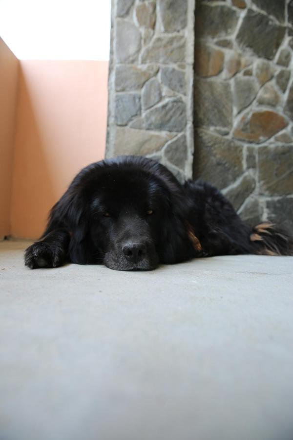 The Buransh Inn Almora Buitenkant foto