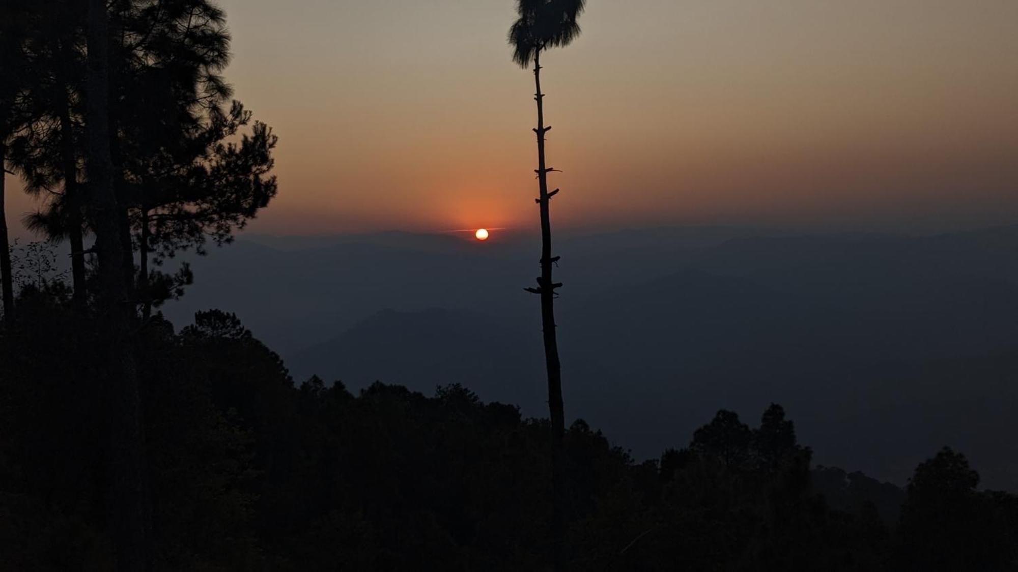The Buransh Inn Almora Buitenkant foto